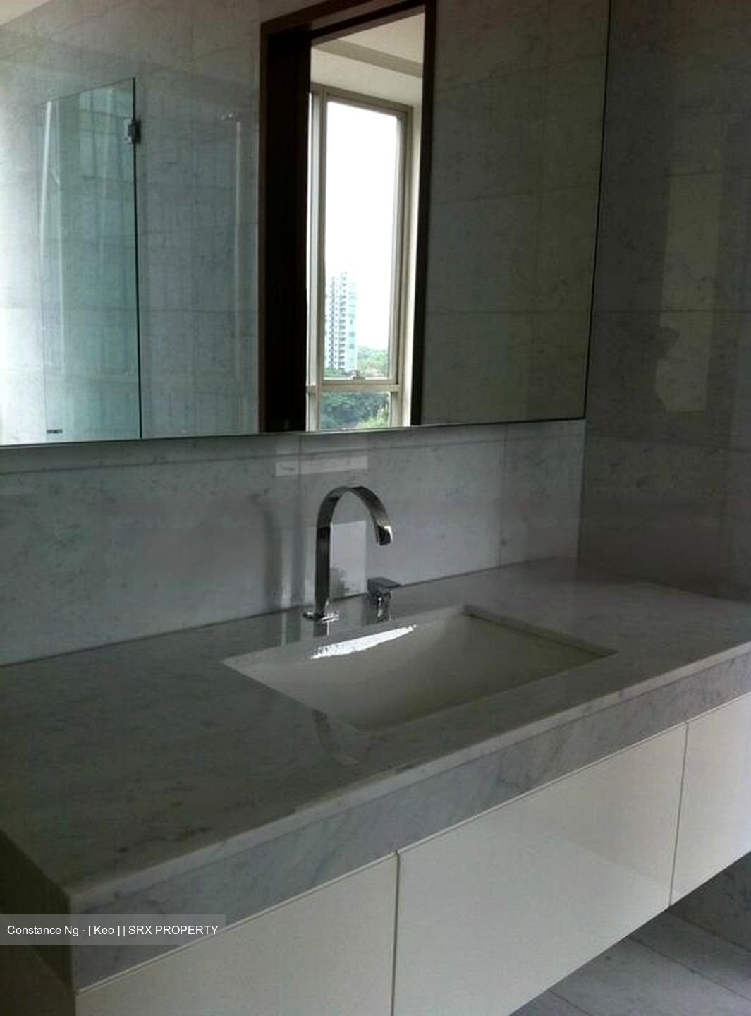 Orchard View (D9), Apartment #456618401